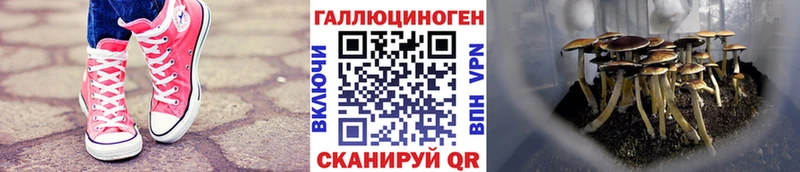 Купить закладки  Тобольск  Галлюциногенные грибы прущие грибы 